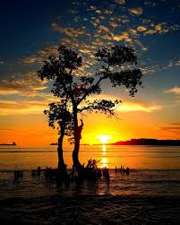 Blog inspirasi kehidupan, puisi, motivasi, kutipan dan sajak kehidupan. Gambar Mungkin Berisi Samudera Langit Awan Senja Pohon Luar Ruangan Alam Dan Air Langit Awan Luar Ruangan