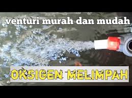 Logo sbs pond equipment · sbs pond equipment. Download Cara Membuat Oksigen Ikan Nila 3gp Mp4 Codedwap