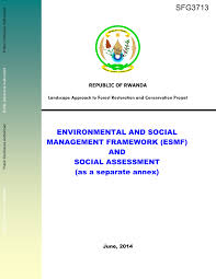 Image result for Peddiea rapaneoides