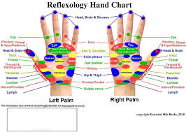 The Reflexology Maps Are Based On The Concept That The Ear
