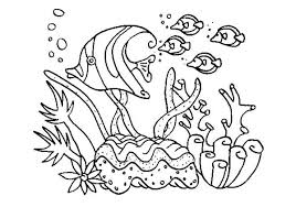 fish coloring pages ile ilgili görsel sonucu