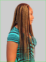 Bob Marley Hair Styles 6200 22 Khana Street D Line Ph Nigeria Big Bob Marley Braids Marley Hair Marley Braids Marley Braiding Hair