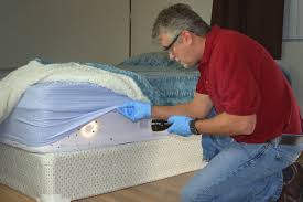 How To Remove Bed Bugs In Your Memory Foam Mattress Sleep Masters Toronto