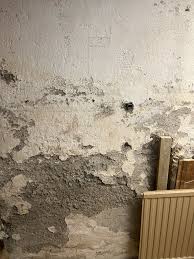 Image result for site:byggahus.se laga-puts