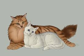 Purebreds Lionheart And Frostfur Warrior Cats Fan Art Warrior Cats Art Warrior Cats Books