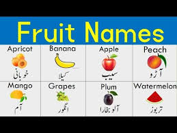 Fruits Name In Hindi And Urdu Learn Fruits Vocabulary With Pictures And Pdf Youtube Fruit Names Vocabulary Vocabulary Lessons