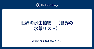 Image result for Platostoma dilungense