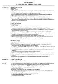 bpm developer resume samples velvet jobs