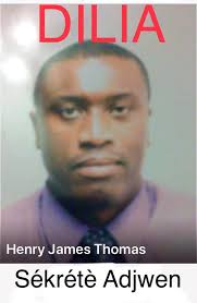 DILIA Diaspora Ini pou libéré AYITI (@diasilia2019) • Facebook