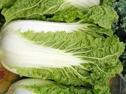 Maybe you would like to learn more about one of these? Chinese Cabbage Grows Better In Fall In Missouri If You Plant Seeds Now You Ll Be Enjoying This Hardy Veggie When Cabbage Benefits Chinese Cabbage Vegetables