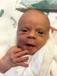 Stephan Research Group