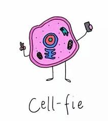 Animal and plant cell jokes. Cell Puns