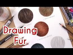 In this video i'm showing you how to create realistic fur, using coloured pencils. 5 Methods To Draw Realistic Fur Coloured Pencil Drawing Tutorial Episode 4 Paintingtube