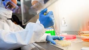 Stock analysis for novavax inc (nvax:nasdaq gs) including stock price, stock chart, company news, key statistics, fundamentals and company profile. Novavax Anuncia Eficacia De 89 Em Vacina Contra Covid E Acoes Disparam Empresas Valor Economico