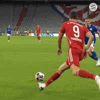 Jpg png bmp gif webp 50 mb. Lewangoalski Gifs Get The Best Gif On Giphy