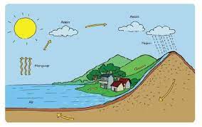 We did not find results for: Kunci Jawaban Tema 3 Kelas 3 Halaman 218 219 221 223 Pembelajaran 5 Subtema 4 Buku Tematik Semangat Belajar