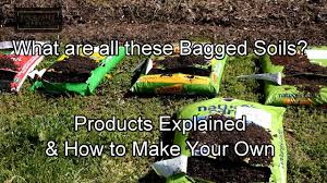 How To Plant Tomato Transplants In Containers In The Ground And How Direct Sow Tomato Seeds Youtube