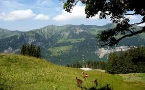 The bregenzerwald is, however, one of the jewels in austria's vast range of walking areas and it has certainly become popular with german and swiss visitors. The Bregenzerwald In Vorarlberg Austria Direct