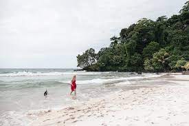 Playa bowls, floride n'a pas encore assez de notes sur ses plats, son service, son rapport qualité/prix ou son. The Truth About Bocas Del Toro Panama Heart My Backpack