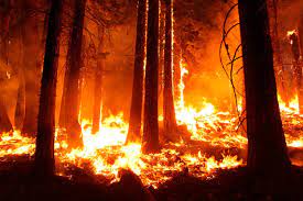 Massive U N Report Says Climate Risks Go Beyond Red Alert Wild Fire Forest Fire Fire