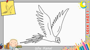 Джош гад, крис уильямс, джонатан грофф и др. Wie Zeichnet Man Einen Papagei Schritt Fur Schritt Fur Anfanger Kinder 2 Youtube