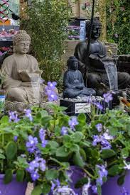 Check spelling or type a new query. Producten Tuincentrum Daniels