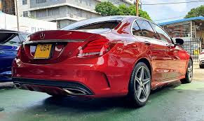 Image result for Hyacinth Red 2016 C