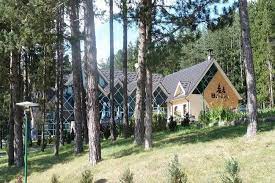 How can i tell whether the borici ad sjenica share price will go up? Borici Borovi Hotel Sjenica