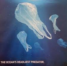 What S Happening Environmental Art Ocean Earth