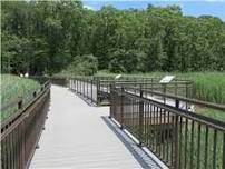 NJ Audubon Summer Stroll at Hawk Rise Sanctuary