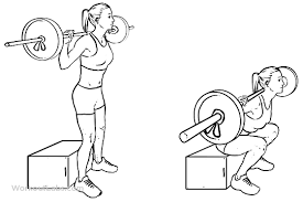 Barbell Box Squat 3 Sets 10 20 Reps Workouts Barbell
