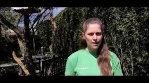 Greenpeace kämpft für den schutz der natürlichen lebensgrundlagen. Greenpeace Ulm Neu Ulm Home Facebook