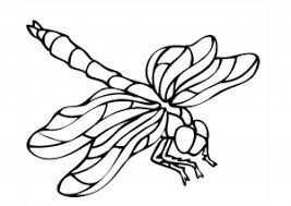 This document describes how to. Insects Free Printable Coloring Pages For Kids