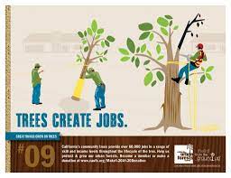 California S Community Trees Provide Over 60 000 Jobs In A Range Of Skill And Income Levels Throughout The Lifecycle Of The Tree Help Growing Tree Create Jobs