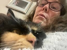 Sometimes it is all about cats! One thing our first years have learnt this  semester is that cats are not just small dogs. This includes when handling  our furry felines. Three of