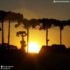 El calor es energía, mientras que la temperatura es una medida de ella. Curitiba Recorde De Calor Para Abril Em 85 Anos Noticias Climatempo