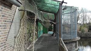 Het plaswijckpark is een recreatiepark dat is gelegen aan de bergse achterplas tussen de stadsdelen schiebroek en hillegersberg aan de noordrand van rotterdam. Theme Park Plaswijckpark Rotterdam 2021 All You Need To Know Before You Go With Photos Tripadvisor