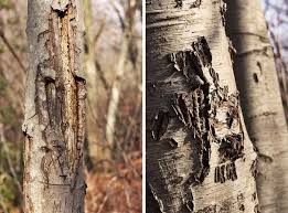 Meroke preserve surf report updated daily. Meroke Preserve The Design Inspirationalist