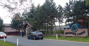 Don't forget to bookmark this page by hitting (ctrl + d), Cum A Fost Ridicat Paradisul Profitul Scos Din Raiul De La Corbeanca De Cristian Å£anÅ£Äƒreanu Un Hugh Hefner De Romania