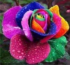 FIORE COLORATO - Risolvi i Giochi Puzzle Gratis presso Puzzle Factory
