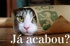 Pin By Diogo Ribeiro On Lol Funny Cat Compilation Funny Cat Wallpaper Funny Cat Videos