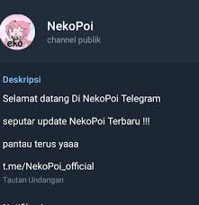 Perbedaan streaming anime web & nekopoi.care apk. Nekopoi Com
