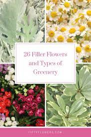 Including green flowers, accents and decorative fillers can add a whole new dimension to any floral arrangement. Pin On Blog Posts