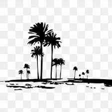 Pin the clipart you like. Black Coconut Tree Silhouette Images Black Coconut Tree Silhouette Transparent Png Free Download