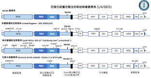 严重急性呼吸系统综合征冠状病毒2 severe acute respiratory syndrome coronavirus 2. å››å€‹å¼•èµ·å»£æ³›æ³¨æ„çš„æ–°å† ç—…æ¯'è®Šç•°æ ª