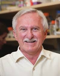 Tom Gielow's Instagram, Twitter & Facebook