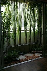 Pin By Sjani Van As On Jardines Y Demas Yerbas Balcony Garden Backyard Garden Design