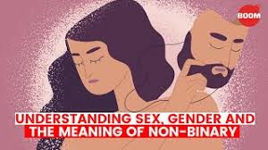 More definitions, origin and scrabble points Understanding Sex Gender The Meaning Of Non Binary Boom Lgbtqia Non Binary Explained Youtube