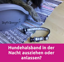 Dem Hund Das Hundehalsband Nachts Ausziehen Oder Anlassen Hundehalsband Hunde Halsband