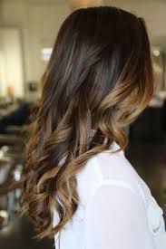 They're a bit more easygoing than most terriers, need a moderate amount of exercise, and can make a great family dog. 21 Highlights On Black Hair Ideas Hair Pretty Hairstyles Hair Inspiration